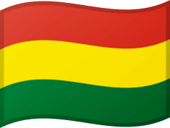Bolivian