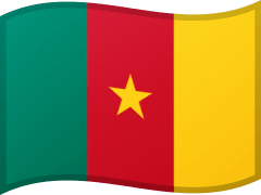 Cameroonian
