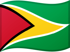 Guyanese