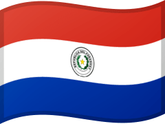 Paraguayan